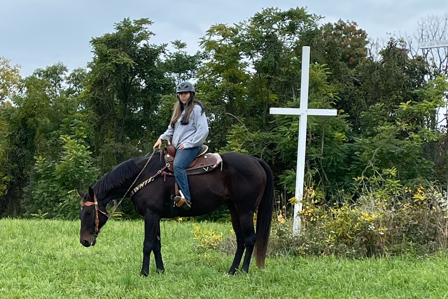 Riding Lessons - Horse N Soul